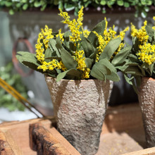 POTTED AMARANTH - GOLDENROD