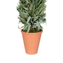 PRESERVED MAHONIA FROSTED CONE TOPIARY - 24"
