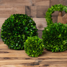 PRESERVED BOXWOOD BALL - 4"