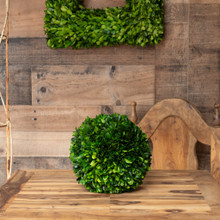 PRESERVED BOXWOOD BALL - 8"