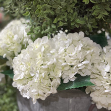 Hydrangea Pick - White | Mills Floral Company