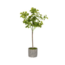 MINT LEAF POT GREEN 23.5"