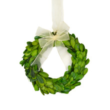 Boxwood Wreath Preserved Ribbon 6 Inch