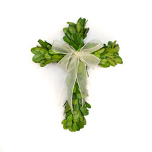 PRESERVED BOXWOOD MINI CROSS WITH RIBBON - 8 x 6 INCH