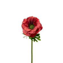 REAL TOUCH ANEMONE - RED