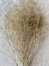 SPARKLE GYP CHAMPAGNE-4OZ PACKED 12