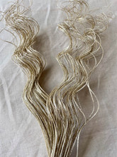 SPARKLE CURLY TING CHAMPAGNE-4OZ PACKED 12