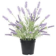 LAVENDER PLANT 14" - ARTIFICIAL