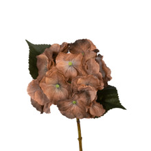 Hydrangea Real Touch Gold Honey 14"