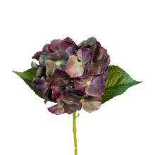 Hydrangea Real Touch Antique Burgundy 14"
