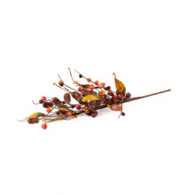 ACORN HARVEST STEM - 22 INCH