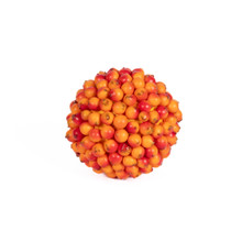 BERRY BALLS - ORANGE - 4 INCH