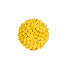 BERRY BALL - GOLDEN - 4 INCH