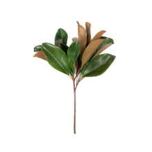 MAGNOLIA LEAF SPRAY - 16 INCH