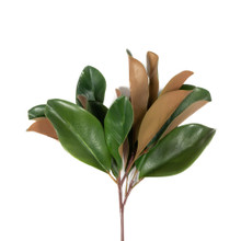 MAGNOLIA LEAF SPRAY - 16 INCH