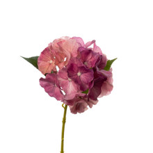 REAL TOUCH HYDRANGEA -  PLUM - 14 INCH