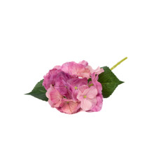 REAL TOUCH HYDRANGEA -  PLUM - 14 INCH