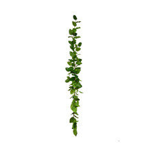 SALAL LEAF GARLAND - 6 FT