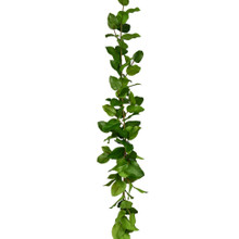 SALAL LEAF GARLAND - 72 INCH