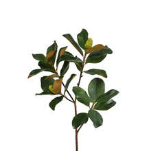 MAGNOLIA LEAF BRANCH - 44 INCH 
