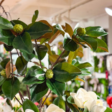 MAGNOLIA LEAF BRANCH - 44 INCH