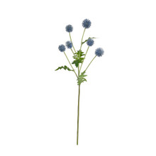 ECHINOPS SPRAY - 25 INCH - BLUE