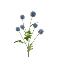 ECHINOPS SPRAY - 25 INCH - BLUE