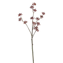 EUCALYPTUS BUD SPRAY 33 INCH