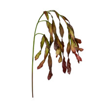 HANGING SEED LEAVES SPRAY 35 INCH