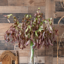HANGING SEED LEAVES SPRAY 35 INCH