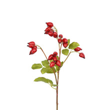 ROSE HIP SPRAY 25 INCH RED