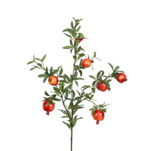 POMEGRANATE STEM 32 INCH