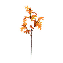 OAK LEAF AND ACORN STEM - 32 INCH