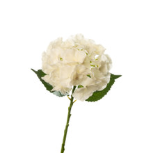 REAL TOUCH HYDRANGEA 20 INCH IVORY