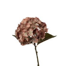 REAL TOUCH HYDRANGEA 20 INCH GOLD HONEY