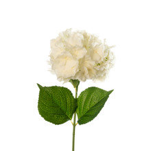 REAL TOUCH HYDRANGEA 29 INCH IVORY