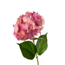 REAL TOUCH HYDRANGEA 29 INCH PLUM