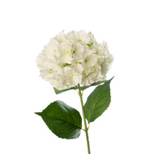 REAL TOUCH HYDRANGEA 29 INCH FRESH WHITE