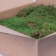 SHEET MOSS NATURAL  - BOX