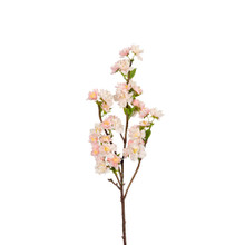 CHERRY BLOSSOM BRANCH - 30 INCH - PINK