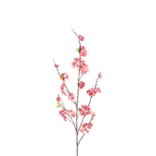 CHERRY BLOSSOM BRANCH PINK  - 52 INCH