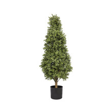 EVERLUX BOXWOOD CONE UV TOPIARY - 48 INCH