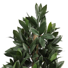 EVERLUX BAY LAUREL CONE UV TOPIARY  48 INCH