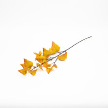 ASPEN LEAF SPRAY - 30 INCH