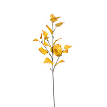 ASPEN LEAF SPRAY - 30 INCH