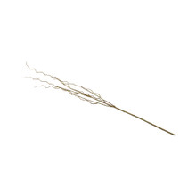 CURLY WILLOW BRANCH - 51 INCH
