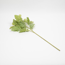 NATURAL DUSTY MILLER STEM - 28 INCH