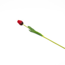 NATURAL TOUCH TULIP - 23.5 INCH - RED