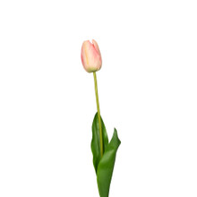 NATURAL TOUCH TULIP - 23.5 INCH - PINK