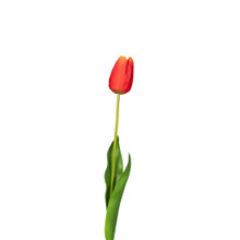 NATURAL TOUCH TULIP - 23.5 INCH - ORANGE